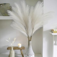 38" 10 Stems White Pampas