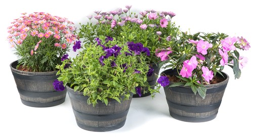 Gardenised piece round half - gardenised,