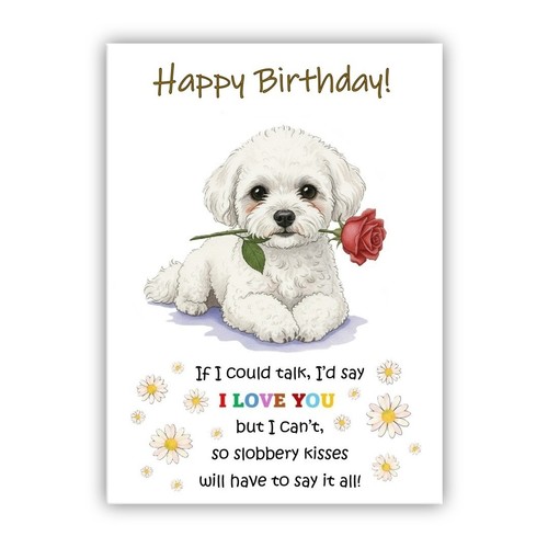 Bichon frise birthday card - frise,