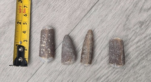 North norfolk beach - beach, cretaceous