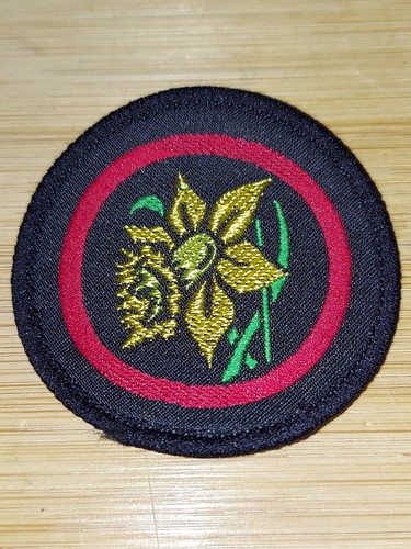 Girlguiding girl guides - uk,