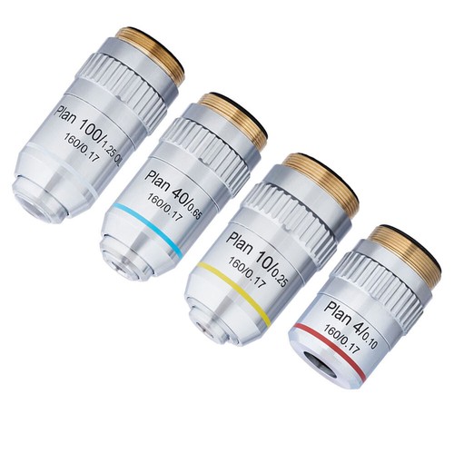 10x 40x 100x biological - 40x,