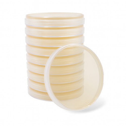 10x pre poured nutrient agar - pre-poured,