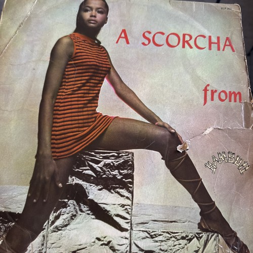 Scorcha from bamboo - a,