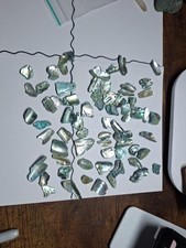Top drilled abalone shell - top,