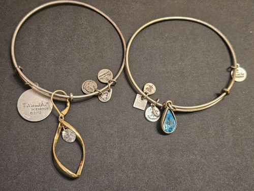 Pair alex and ani energy - ani,