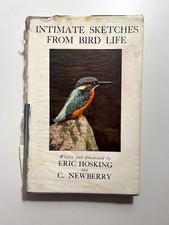 Intimate Sketches From Bird