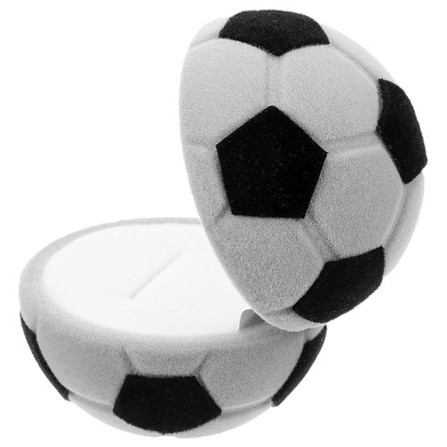 Ring case portable - case, storage