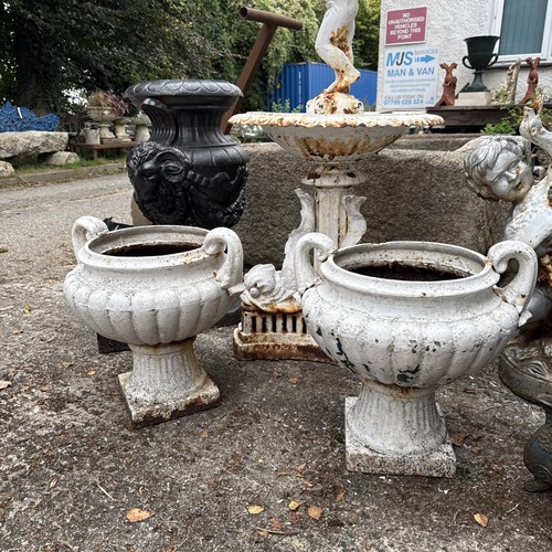 Superb pair english late - late, 19thc
