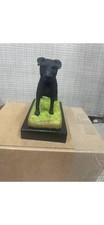Black working terrier - working,