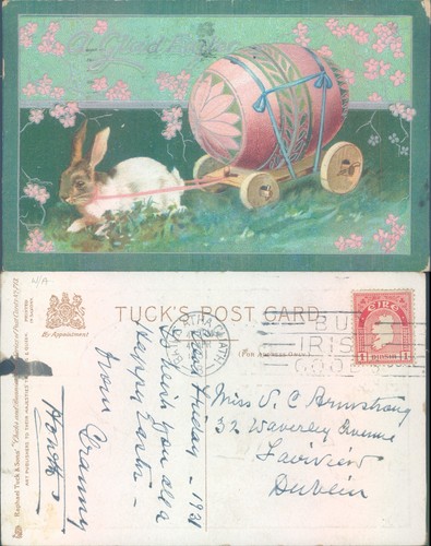Rabbit pulling easter - rabbit,