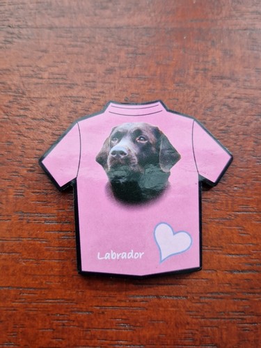 Chocolate labrador magnet - labrador,