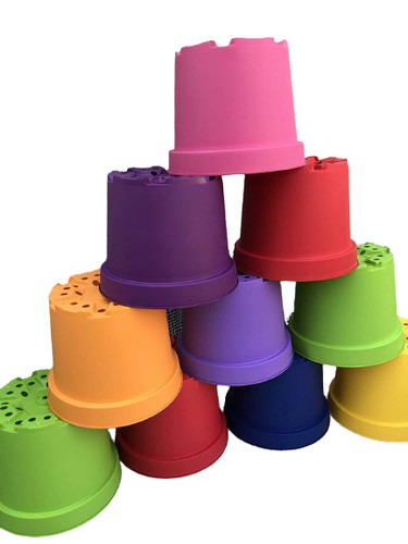 Coloured litre plant - coloured, 5
