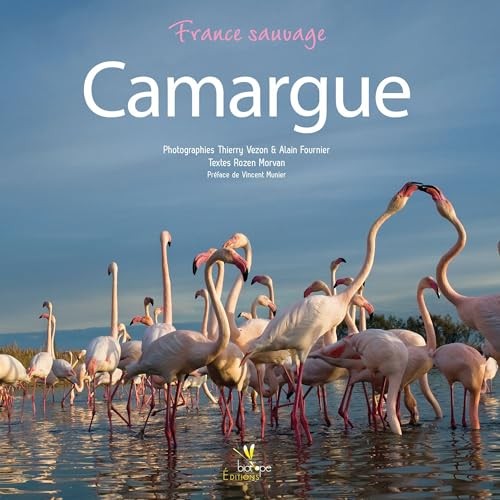 Camargue morvan vezon fo - camargue, morvan/vezon/fo