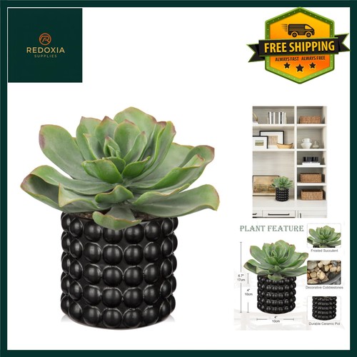 Vivid artificial echeveria - vivid,