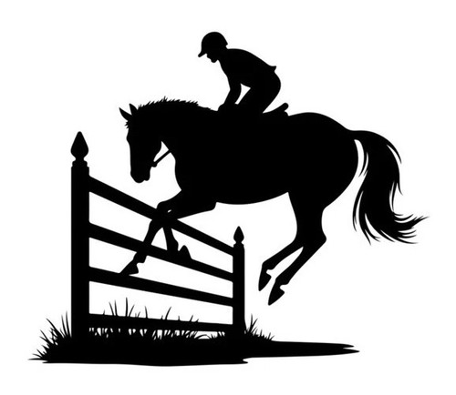 Show jumping horse - jumping,