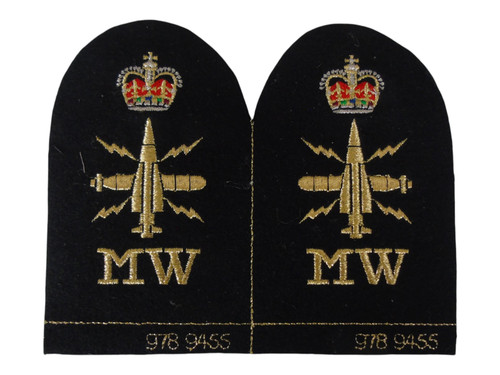 Chief petty officer mine - petty,