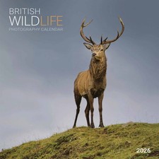 British Wildlife Photography