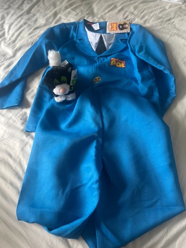 Postman pat fancy - fancy, dress