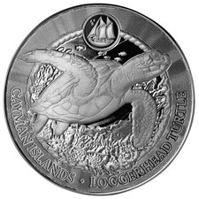 2025 LOGGERHEAD TURTLE 1 oz