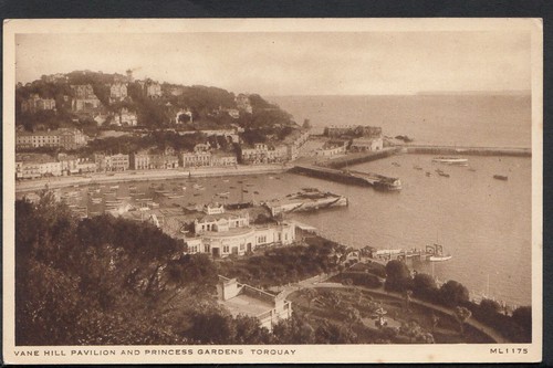 Devon postcard vane hill - -,