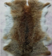 1x Rabbit Skin Natural Tanned
