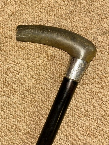 Edwardian walking stick - edwardian, bovine