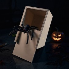 Prank Spider Scare Box Wooden