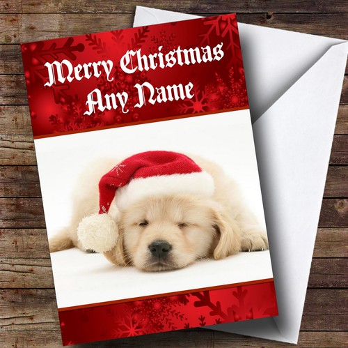 Beautiful labrador puppy dog - beautiful,
