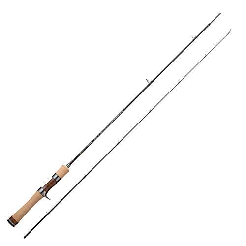 Tenryu baitcasting rod rayz - rod,