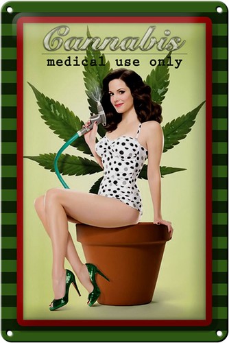 Metal sign pinup 20x30 - , cm
