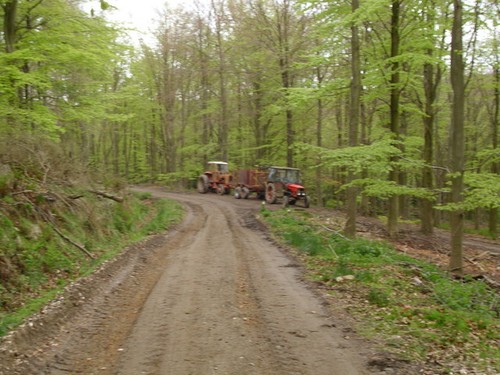 Photo forestry machinery - photo, a3