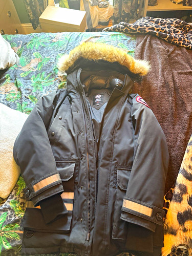 Canada goose arctic - arctic, program