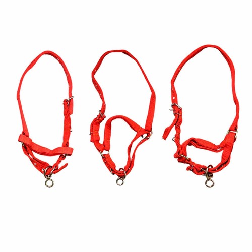 Horse rope training halter - training,