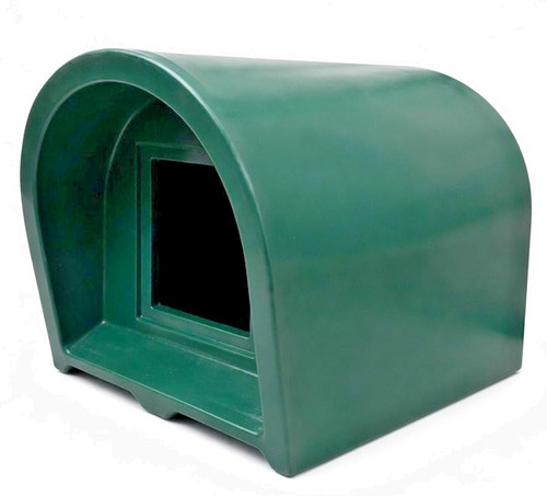 Outdoor cat small animal - outdoor,