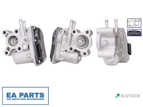 Egr valve for - valve,