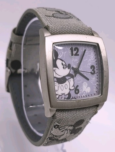 Vtg 2000 disney parks - vtg,