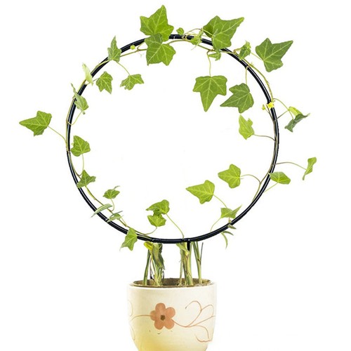 Vine climbing rack flower - climbing,
