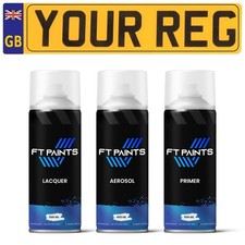 Aerosol Spray Paint Kit Mixed