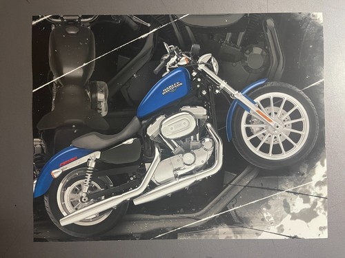 Harley davidson 883 low - harley,