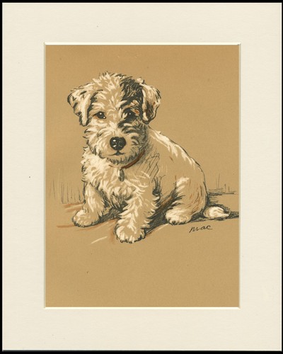 Jack russell terrier vintage - terrier,