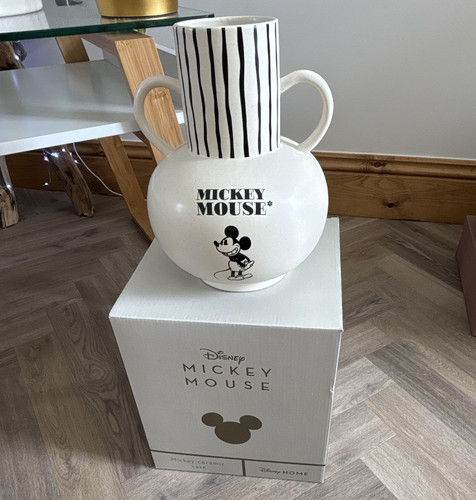 Disney home mickey mouse - home,