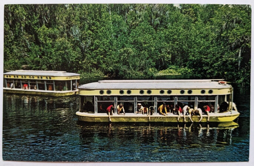 Silver springs florida - silver,