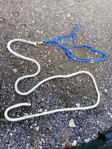 Parelli style rope halter - halter, and