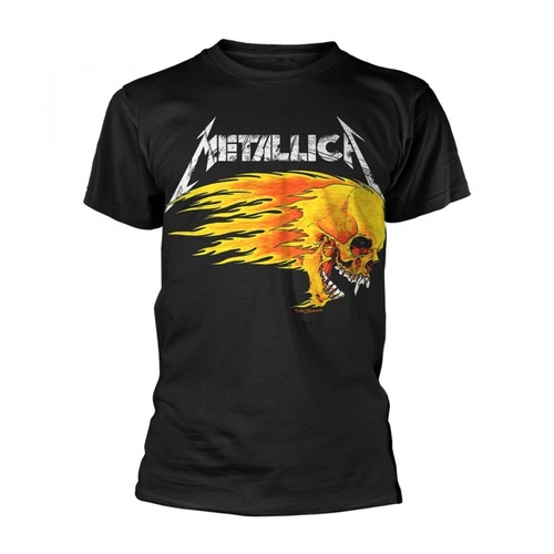 Metallica flaming skull tour - metallica,