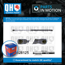 Boot Gas Strut QTS828125