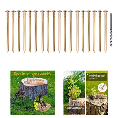 Long copper nails - copper, tree
