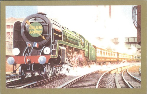 Golden arrow steam - golden,