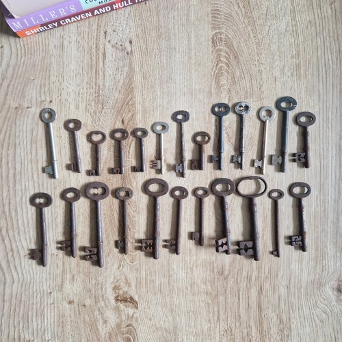 Lot antique skeleton - 24,