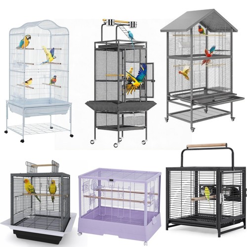 Large metal bird cages - bird,